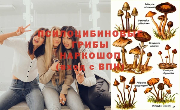 МДМА Алексеевка