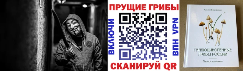 цены Вологда Галлюциногенные грибы мицелий