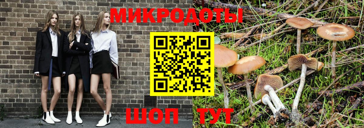 Псилоцибиновые грибы Psilocybine cubensis Вологда