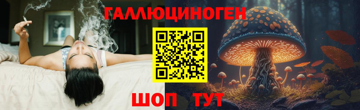 Вологда  Псилоцибиновые грибы Psilocybe  Вход с VPN  Псилоцибиновые грибы Psilocybine cubensis 